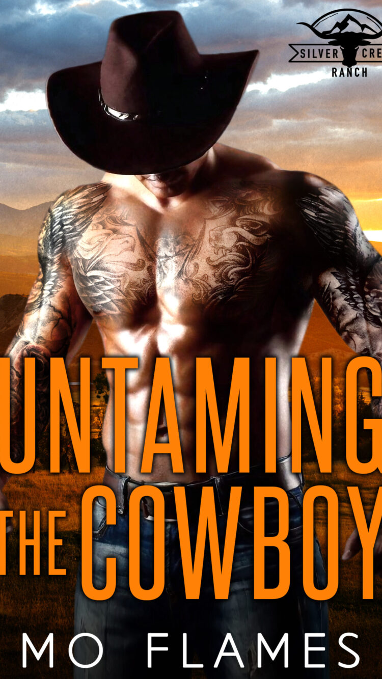 Untaming The Cowboy - eBook